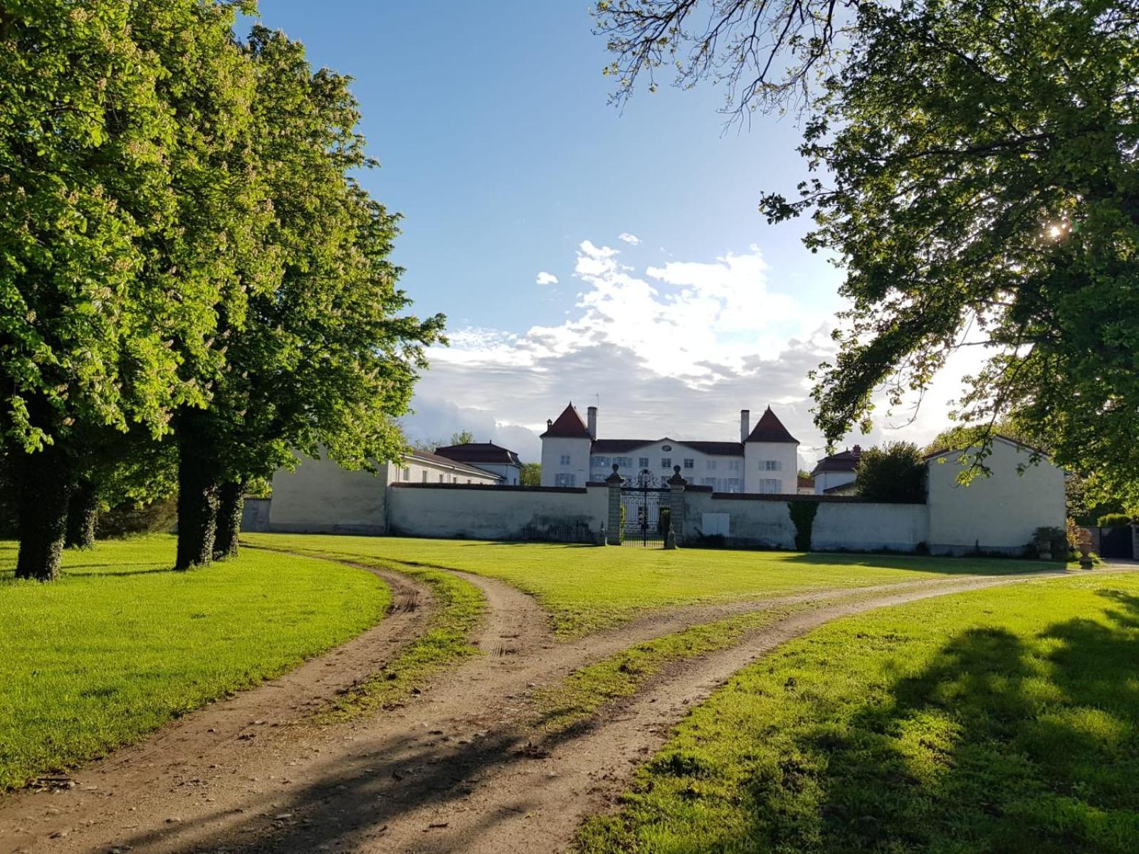 Chateau Des Perichons Poncins Exteriör bild